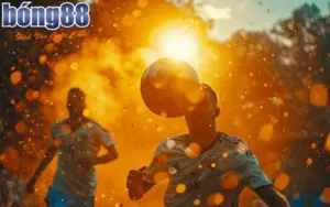 bong88-dien-tich-san-bong-da