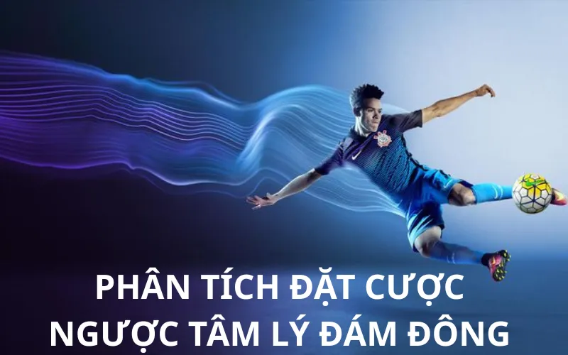 Phân tích đặt cược ngược tâm lý đám đông