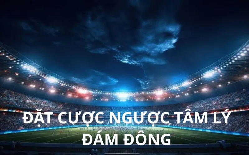 đặt cược ngược tâm lý đám đông